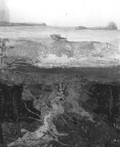 Zeichnung aus dem Lyrikband von Wolfram Malte Fues, "SkalpeSkalpelle": "Am Riss", 2015, Asphalt, Collage, Acryl auf Karton, Tusche auf Papier, 21 x 30 cm