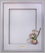 TULIP   A pale lavender. Soft and pretty. A nice counterpoint to dark browns.