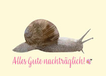 Schnecke