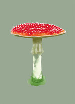 Pilz Glück Olive