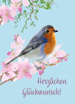 Rotkehlchen Frühling