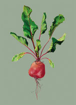 Rote Beete