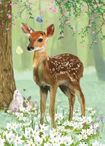 Reh Frühling