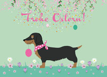 Dackel Ostern