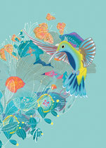 Kolibri