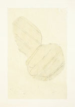 intuition 12, 2021, 37,9*26,9 cm, graphit auf lackiertem awagami papier