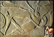 Mastaba di Ptahhotep II, V dinastia,Antico Regno, necropoli di Saqqara, rilievo caccia all’antilope, 2400 a.c.circa