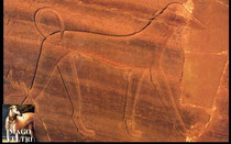 rilievo tomba rupestre di Sarenput,  XII dinastia, Medio Regno 2000 a.c.circa, governatore isola di Elefantina Assuan.