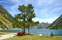 Lac de Gaube