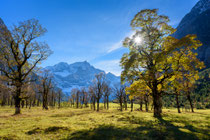 Motiv-346 (Großer Ahornboden)