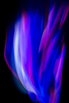 Motiv-169 (Fotografie)