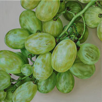 Green Grapes, 50 x 50 cm, oil on canvas