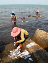 Fisherwomen. Kep. Cambodia