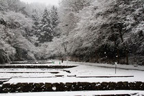 雪降りの公園－1　植田さん