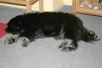Bommel - Herbst 2012 - nach dem Bad