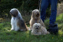 Milka, Bya-ra und Indra