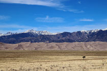 Gebirge aus Sand, Gebirge aus Fels - Dunes & Rockies.  (Colorado)