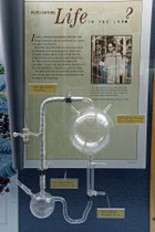 Stanley Millers Apparatur zur Erzeugung des "Lebensfunkens".  (Denver Museum of Nature & Science)