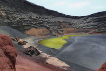 Lago verde, Lanzarote -  "Ruppia maritima", eine Algenart, sorgt für intensives Olivgrün . . .