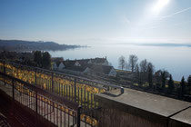 Nebel über dem Bodensee (Birnau)