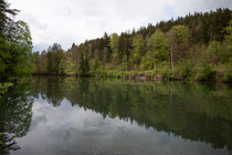 Gipsbruchweiher I