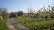 Blick auf die Burg Ittendof