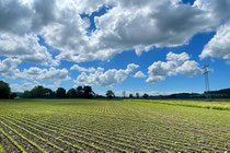 Wolken im Salemertal