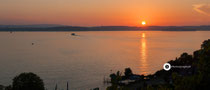 Blick aus den Weinbergen von Meersburg