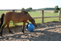 Fußball