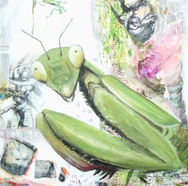 Daphne 2, Acrylfarbe auf Lw. 100 x 100cm