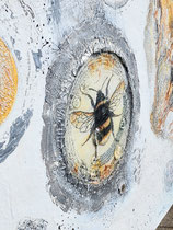 Detail aus Hummel Universe