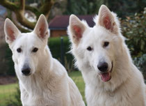Juni & Nika