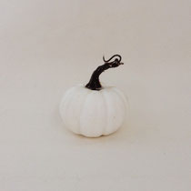 ハロウィン302　かぼちゃ　白　115　115H　 ￥350