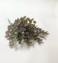 ダミーグリーン190　ユーカリ小葉　