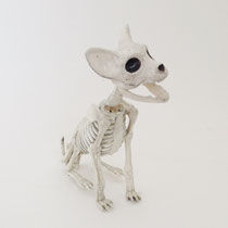 ハロウィン186　ガイコツDOG　　210H  　￥900 