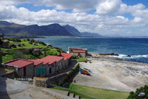 Hermanus