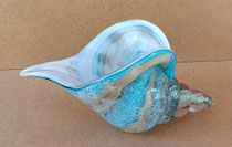 Caracola cristal. Ref 34114. 13x22