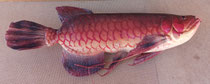 Pez poliespan. 52x21