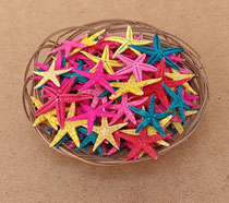 Estrella de mar natural. Ref 10741002. 5 cms
