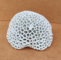 Coral cerámica. Ref 31340. 15x13,5x9,5