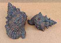 Caracolas resina. Grande ref 12575 (25x15x12). Pequeña ref 12574 (19x11x10)