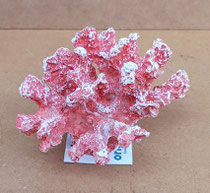 Coral resina. Ref 26172. 13x10x8,5