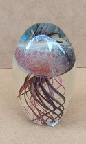 Pisapapel medusa. Brilla en la oscuridad. Ref 29360. 7x7x11