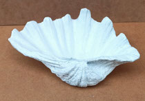 Concha resina. Ref 50076. 23,5x15