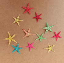 Estrella de mar natural. Ref 10741001. 7/10 cms