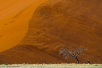 Sossusvlei, Dune 45, Namibia 2011
