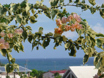 Vue mer de la terrasse