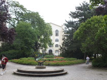 Stadtmite