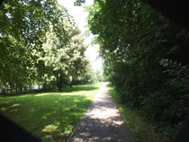 Weg an der Saale
