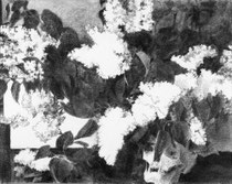 „Flieder und Schädel“, 1988, Bleistift und Grafit, 51,5x64cm